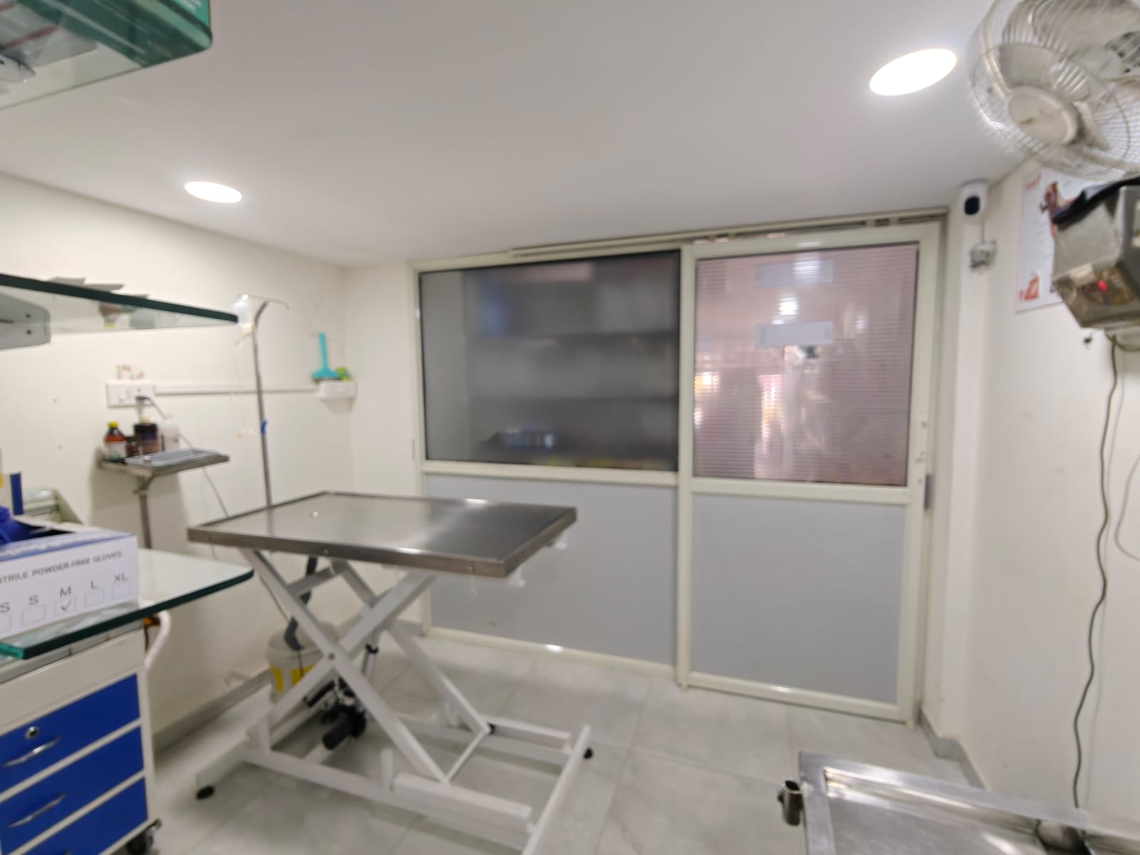 Pet care at Sarvadnya Pet Care Unit, Pimpri-Chinchwad